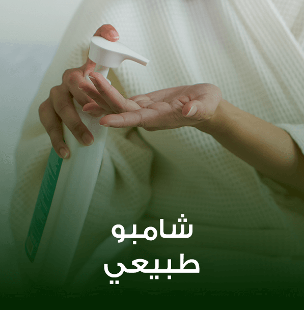 شامبو