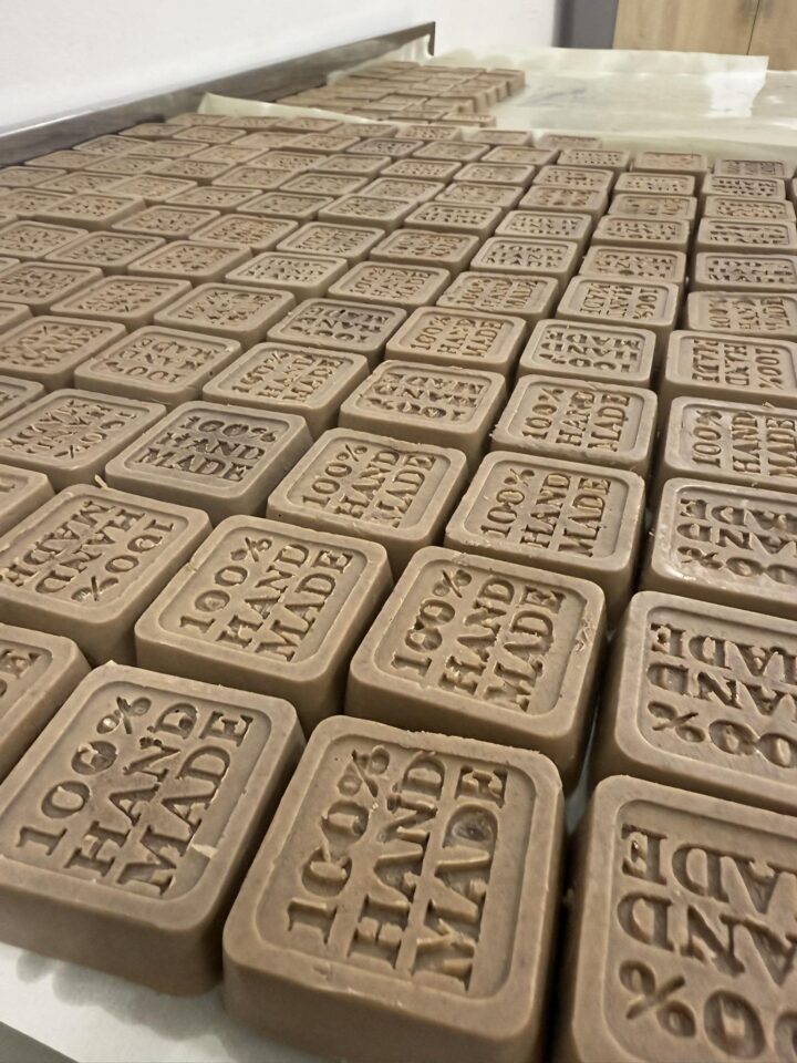 537446789_1260741172732889_668368377365557338_n