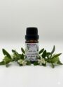 زيت الآس – Huile Essentielle de Myrte